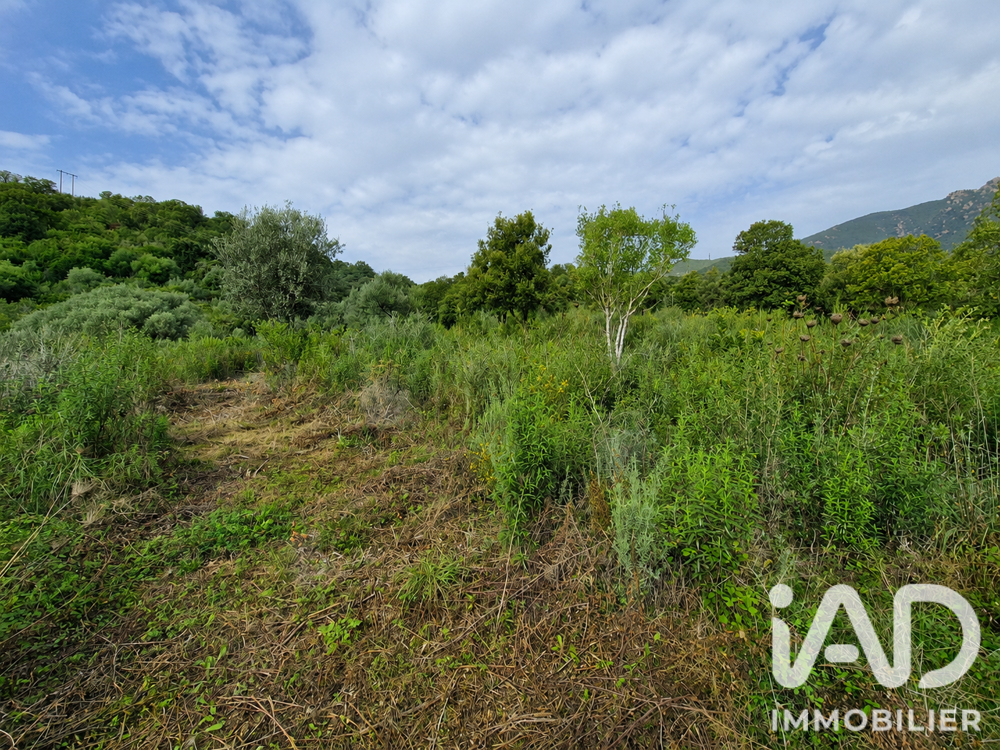 vente Terrain - 14741 m² Ocana (20117)