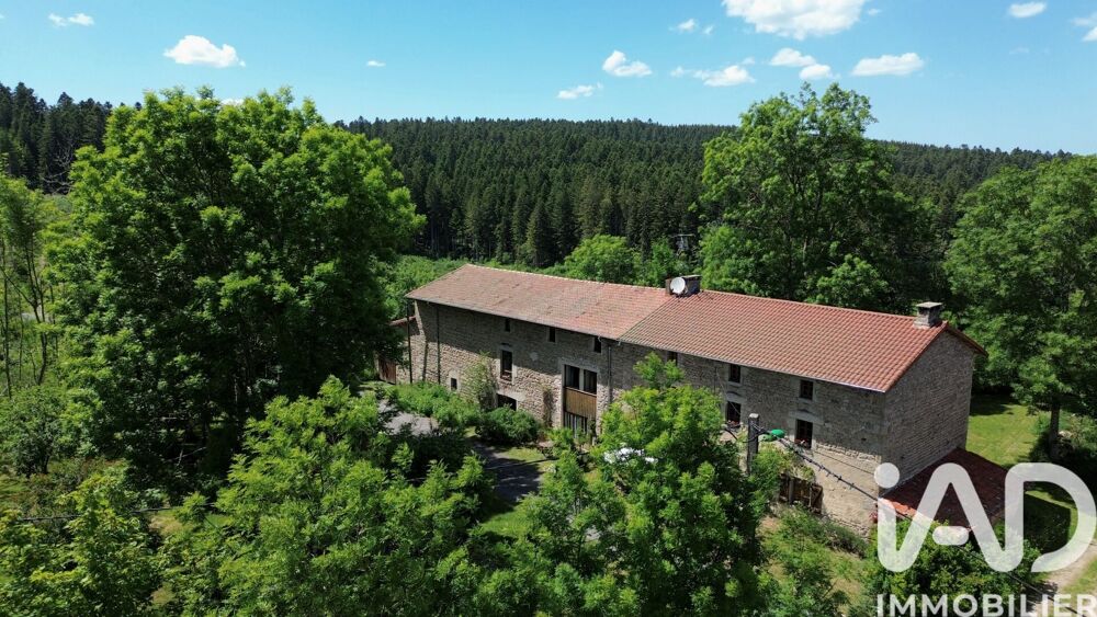 Vente Maison/villa 12 pièces