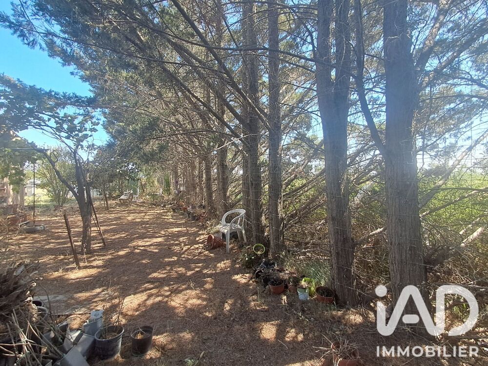 Vente Terrain Vente Terrain 1 707 m&sup2; Lézignan-corbières