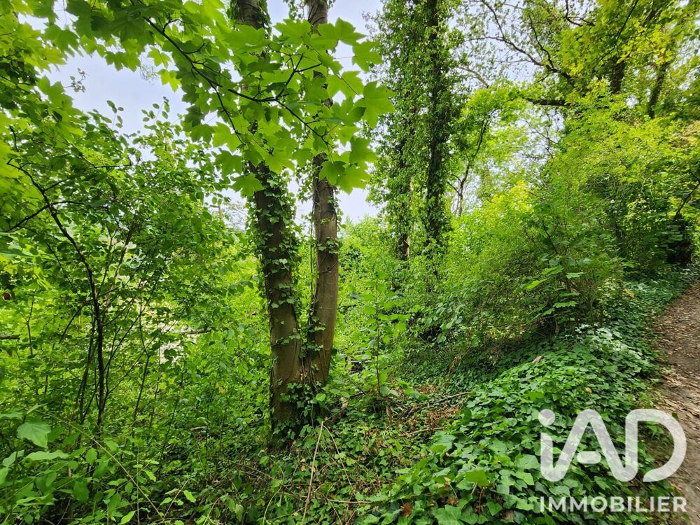 Vente Terrain Vente Terrain 2 550 m&sup2; Maule