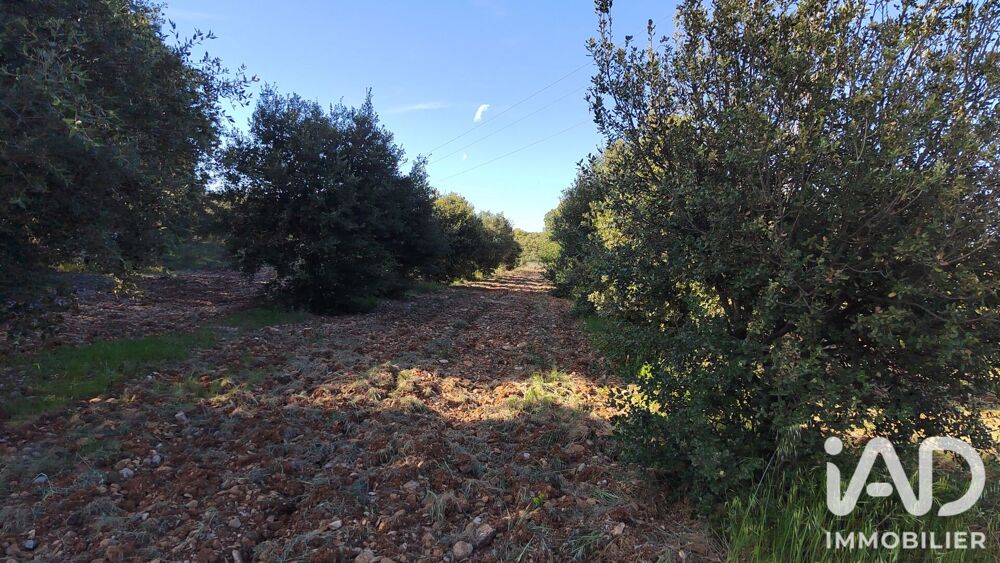 Vente Terrain Vente Truffière 4 300 m&sup2; Sérignan-du-comtat