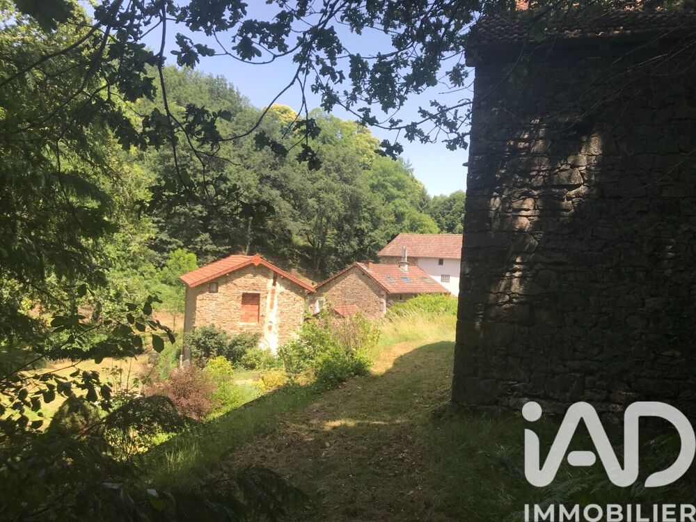 Vente Domaine 11 pièces