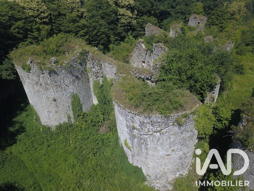 Vente Maison Vente Château 1 pièce Louan villegruis montaiguillon