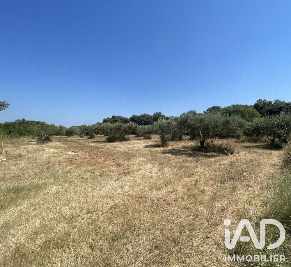 Vente Terrain Vente Terrain à bâtir 1 764 m&sup2; Saint-siffret
