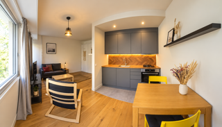 Vente Appartement Studio loué meublé, 26,71 m², 2e étage avec ascenseur, cave Paris 15