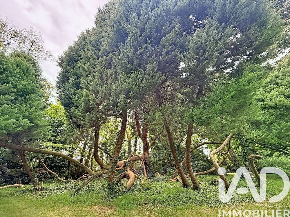à vendre  Maison Pluguffan (29700)