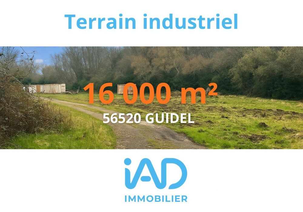   Vente Murs commerciaux 16 000 m&sup2; 
