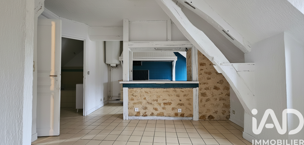 Vente Immeuble Vente Immeuble 113 m&sup2; Pont-sur-yonne