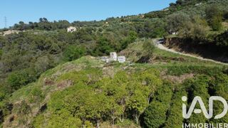  Terrain à vendre 10100 m²