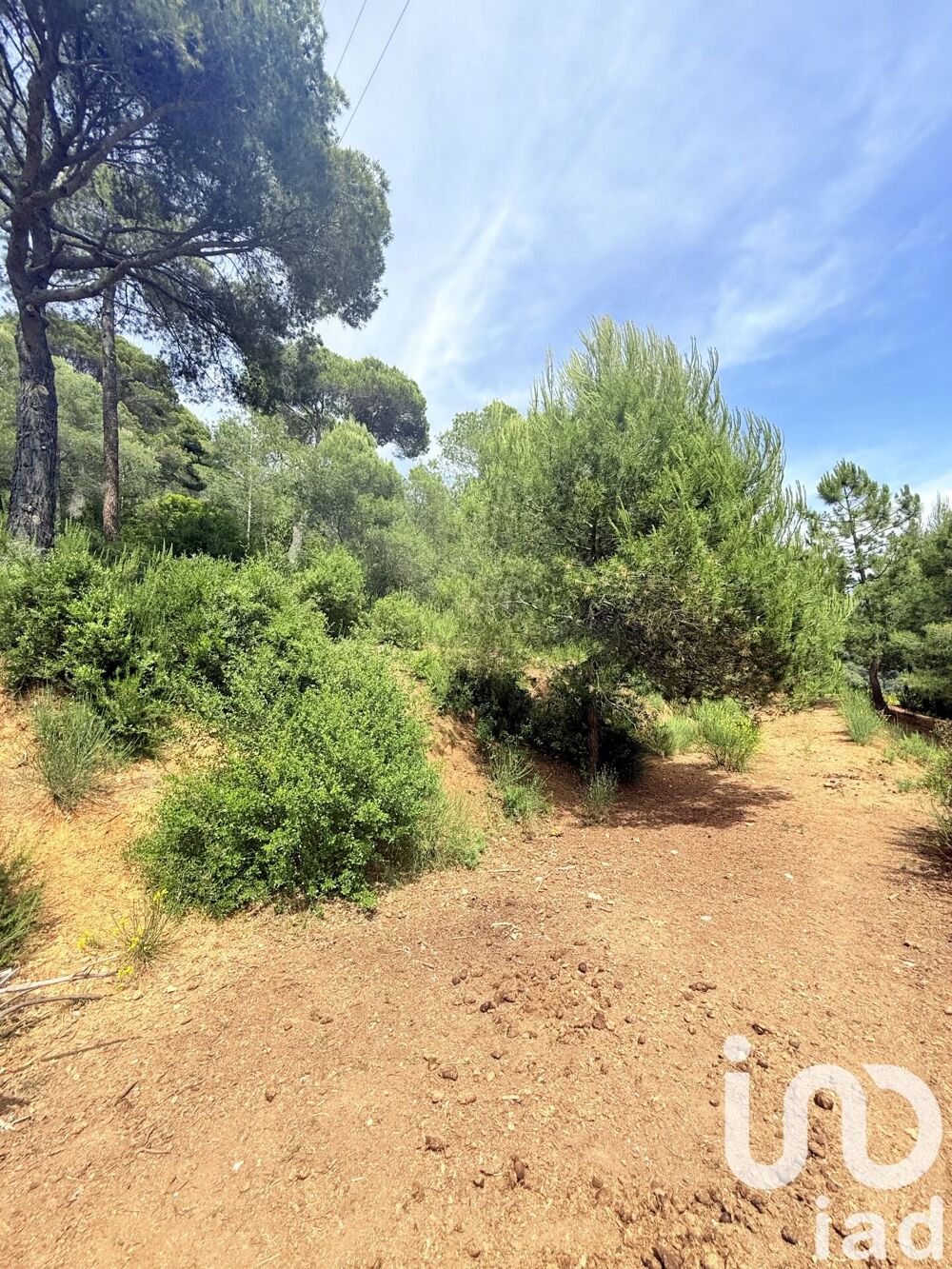 à vendre  Maison Saint-Martin-du-Var (06670)