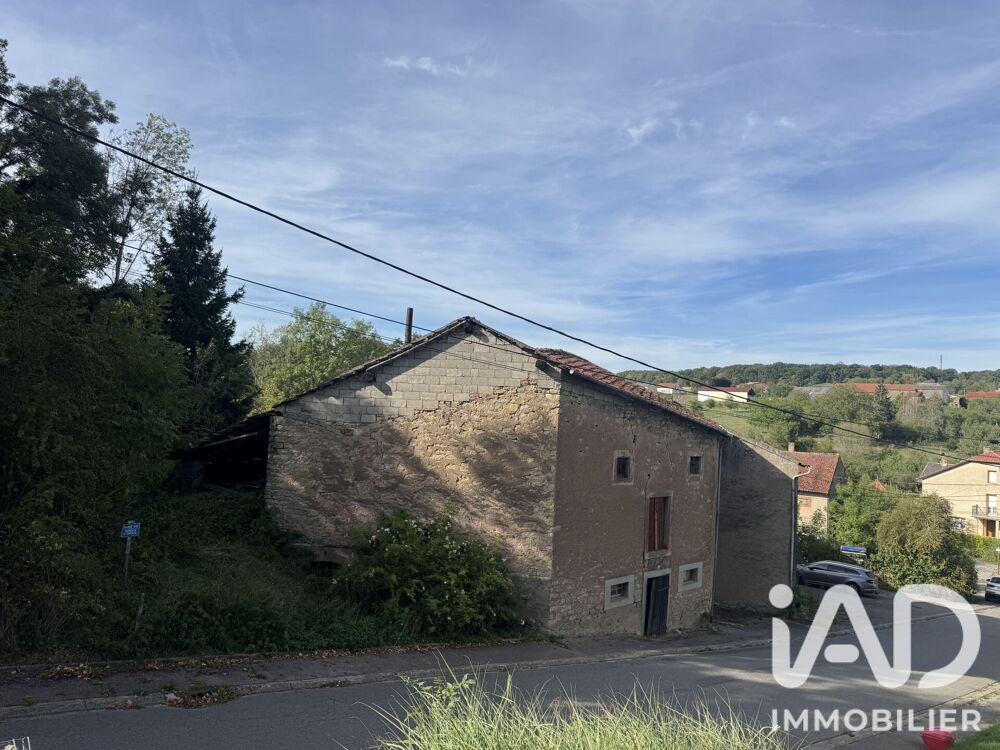 Vente Maison Vente Maison de village 6 pièces Flastroff