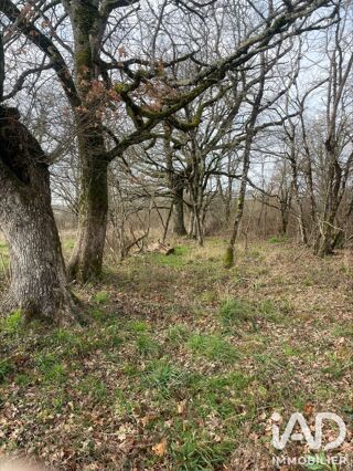  Terrain à vendre 7042 m²
