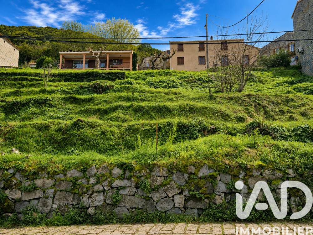 Vente Terrain Vente Terrain 750 m&sup2; Sollacaro