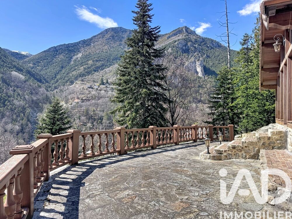 Vente Autre Vente Gîte 8 pièces Saint-martin-vésubie