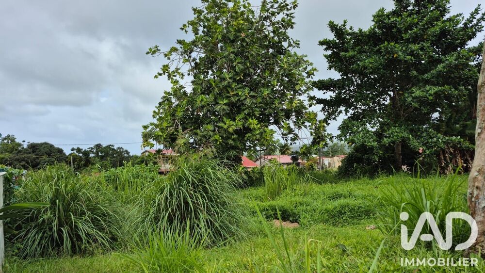 Vente Terrain Vente Terrain à bâtir 1 142 m&sup2; L'ajoupa-bouillon