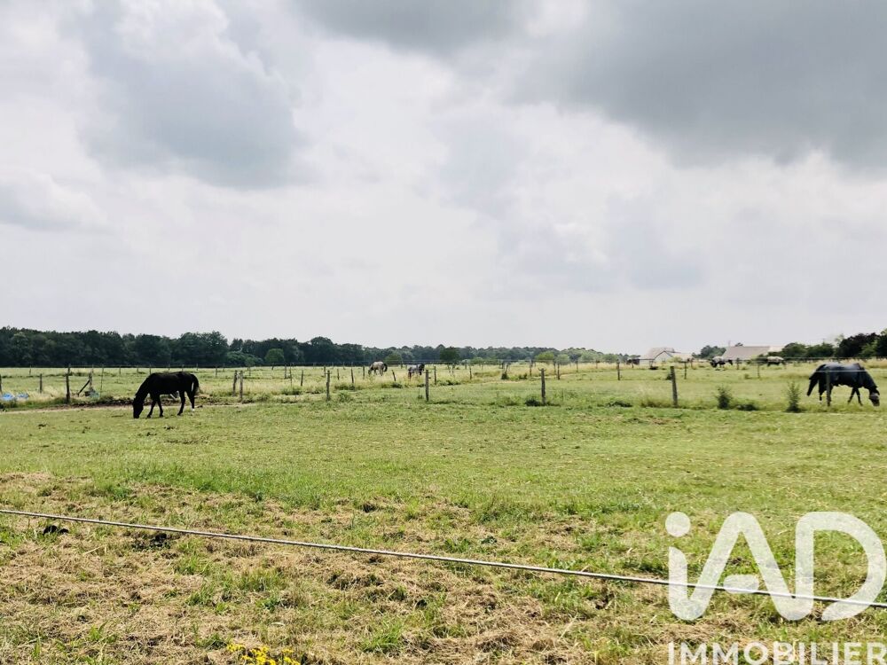 � vendre  Maison Verrie (49400)
