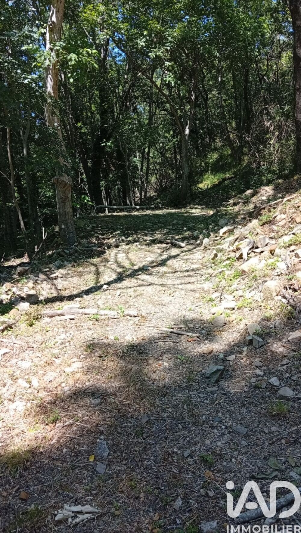 Vente Terrain Vente Terrain agricole 4 740 m&sup2; Camplong