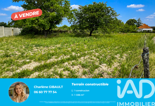  Terrain à vendre 1036 m²