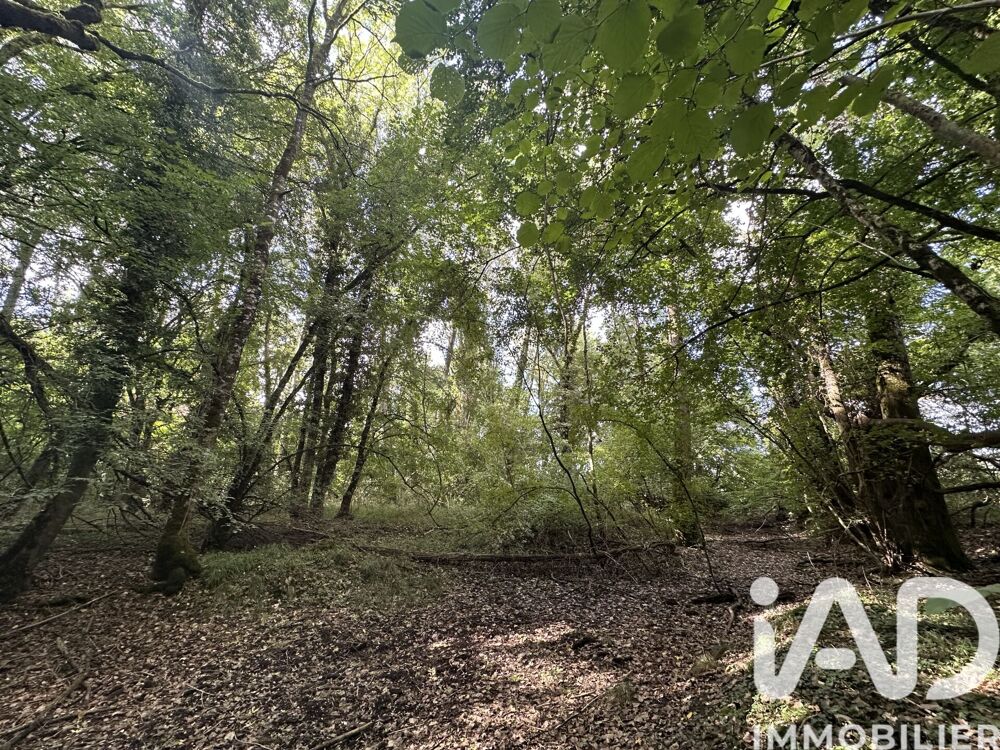 Vente Terrain Vente Terrain agricole 11 070 m&sup2; Massay