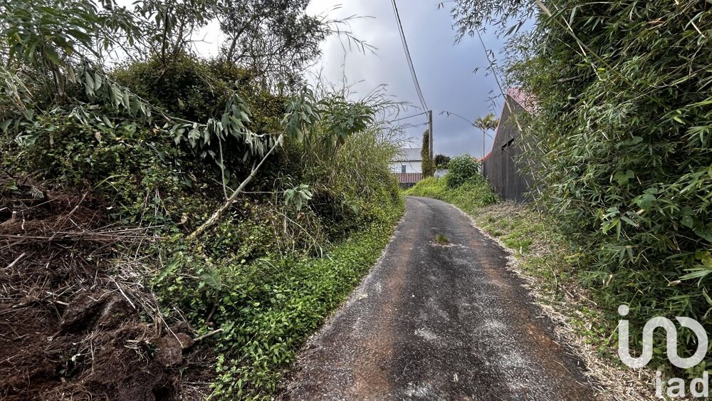 vente Terrain - 7682 m² La Plaine-des-Palmistes (97431)