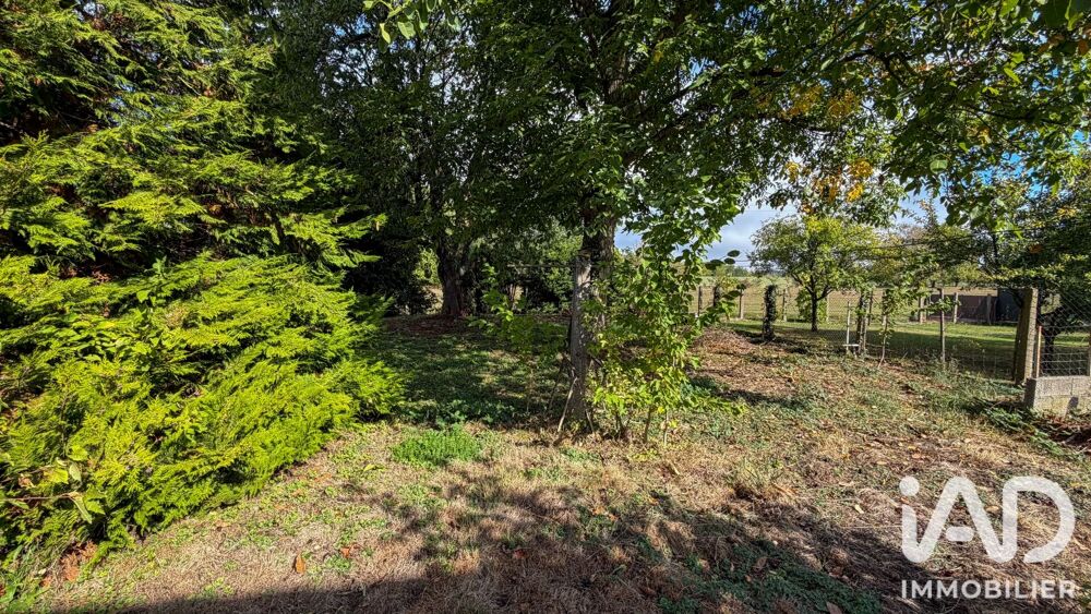 Vente Maison Vente Maison/villa 5 pièces Burnhaupt-le-bas
