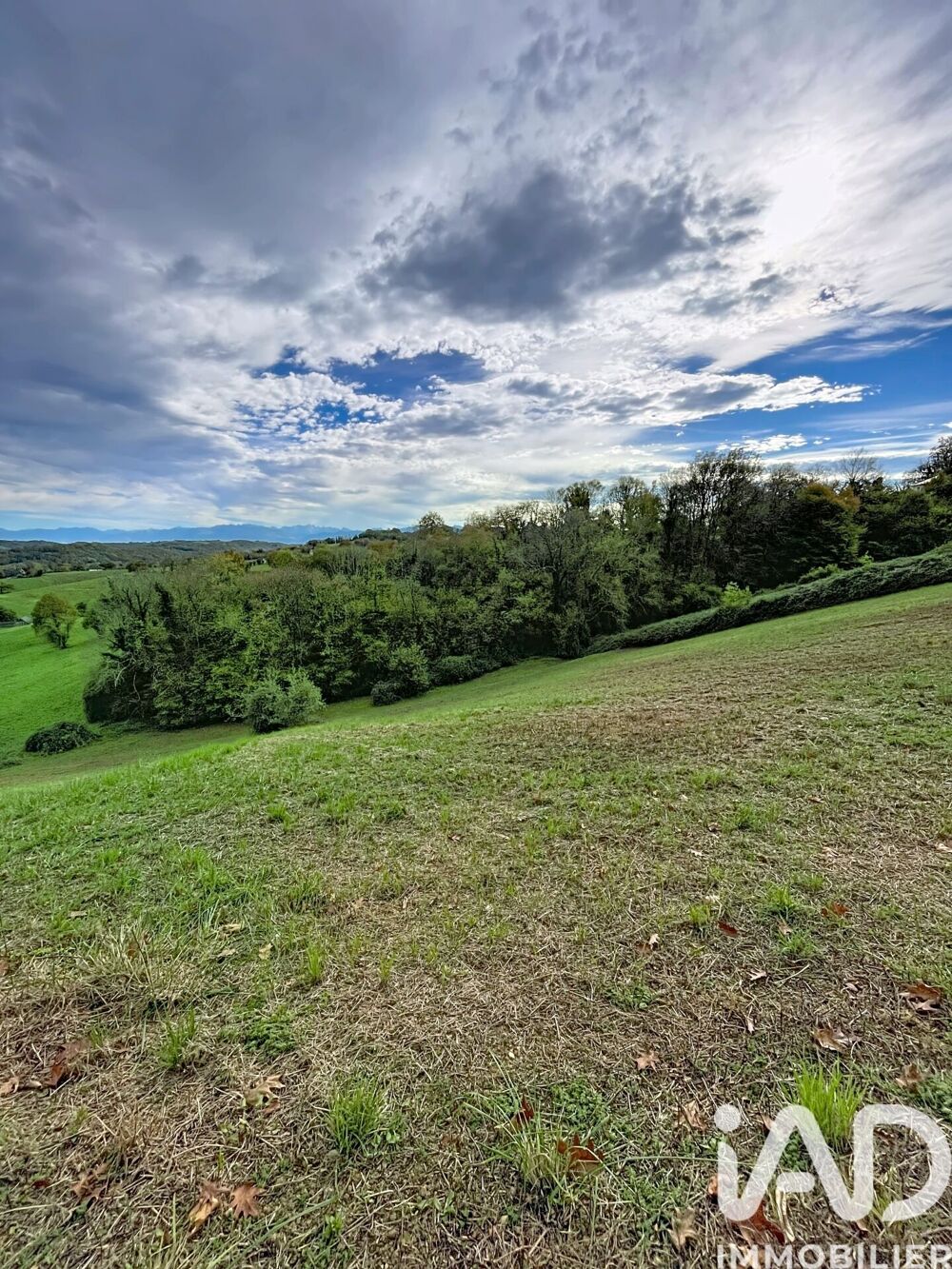 Vente Terrain Vente Terrain agricole 7 995 m&sup2; Monein