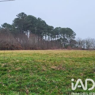  Terrain à vendre 44000 m²