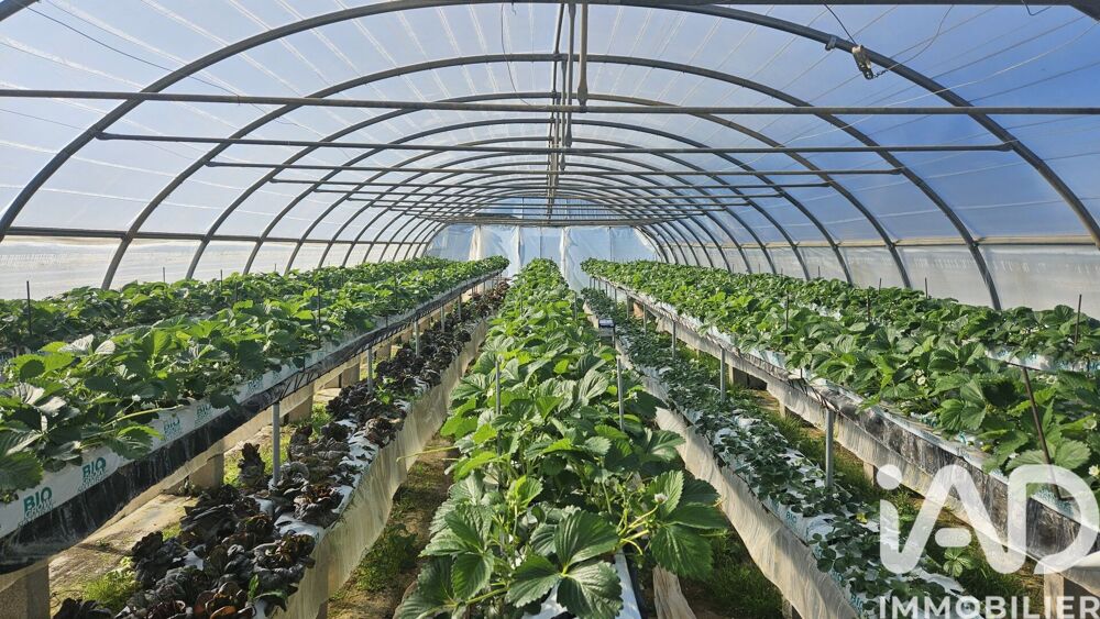 Vente Terrain Vente Terrain agricole 2 806 m&sup2; Lorgues