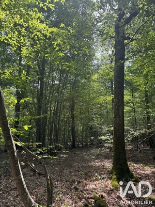 Terrain à vendre 211447 m²