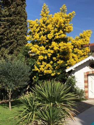  Maison � vendre 6 pi�ces 220 m�