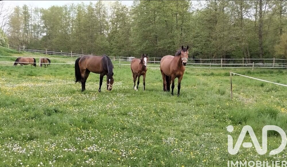 Vente Maison Vente Haras 7 pièces Fère-en-tardenois