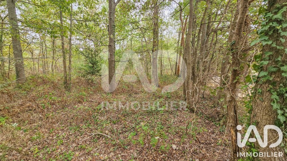 Vente Terrain Vente Terrain 60 000 m&sup2; Chailly