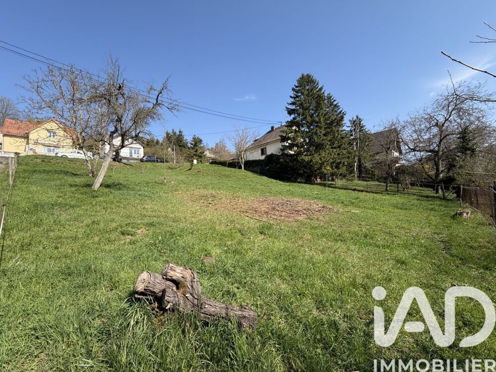 Vente Terrain Vente Terrain 965 m&sup2; Mutzig