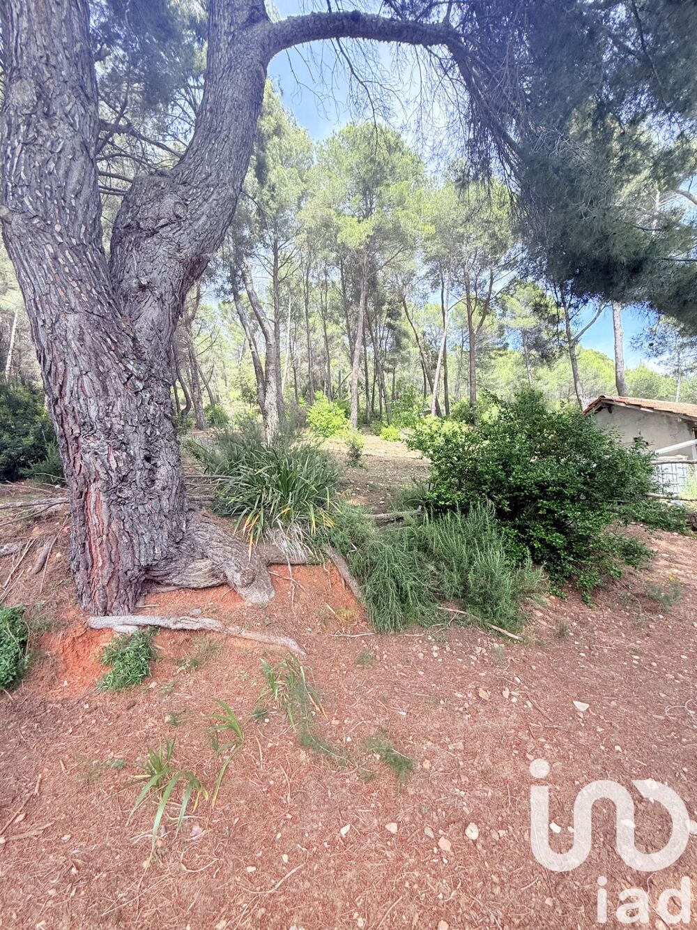 à vendre  Maison Saint-Martin-du-Var (06670)