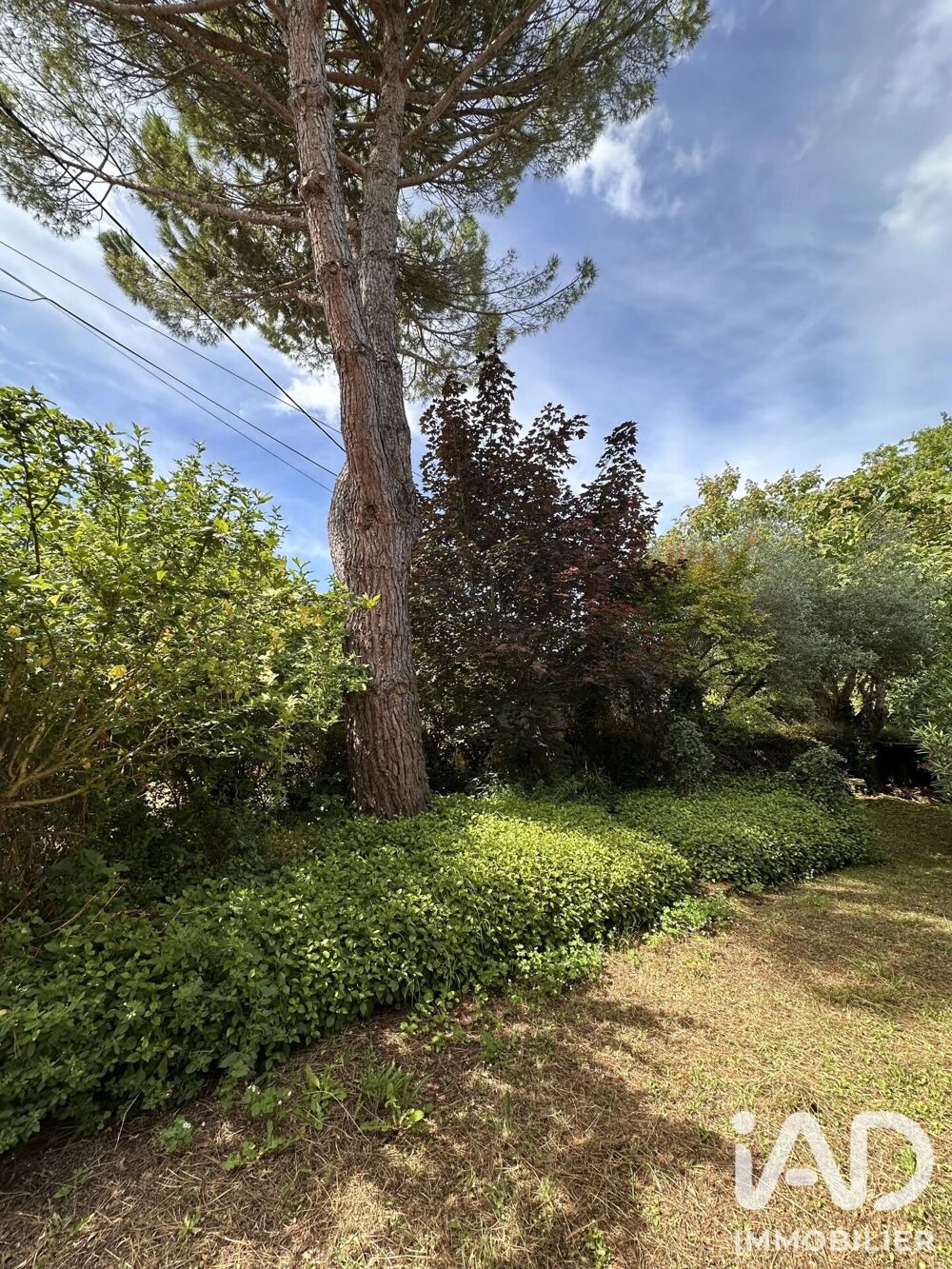 Vente Maison Vente Maison de campagne 4 pièces Puisseguin