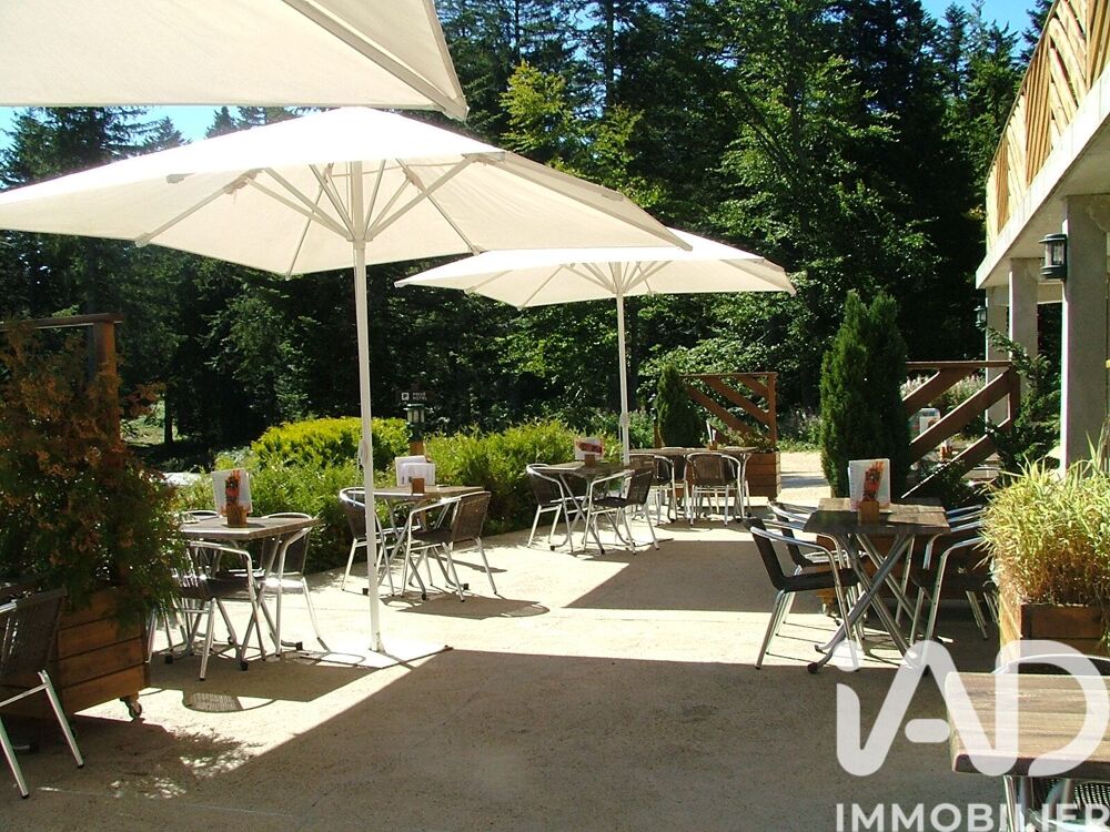 Vente Autre Vente Gîte 14 pièces Thélis-la-combe
