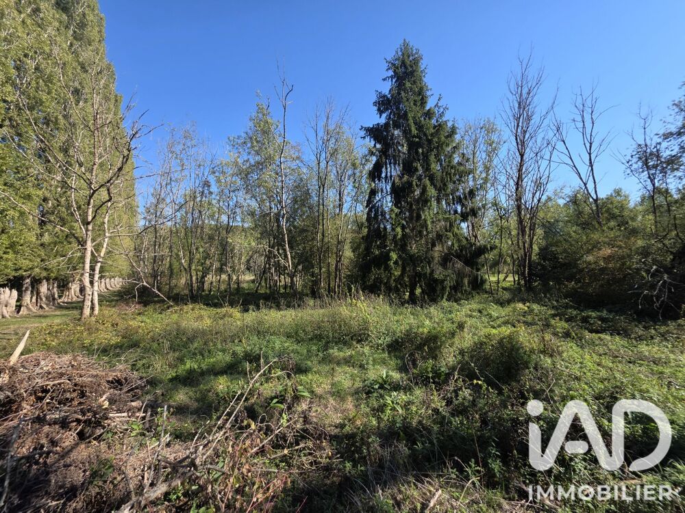 Vente Terrain Vente Terrain 2 920 m&sup2; Courçay