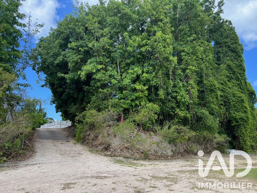 Vente Terrain Vente Terrain 532 m&sup2; Le gosier