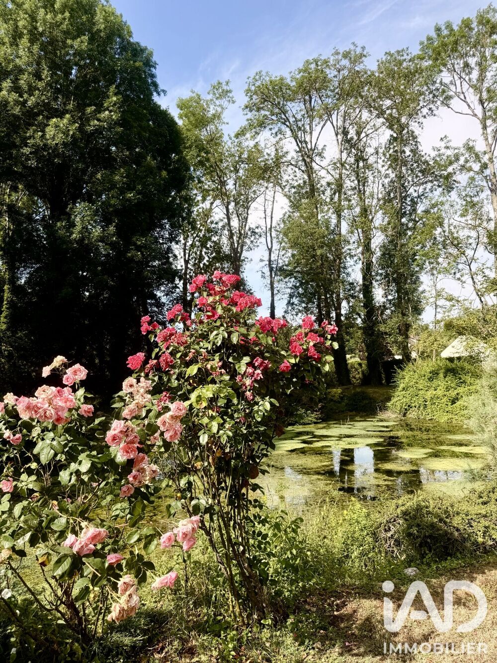 Vente Domaine 11 pièces