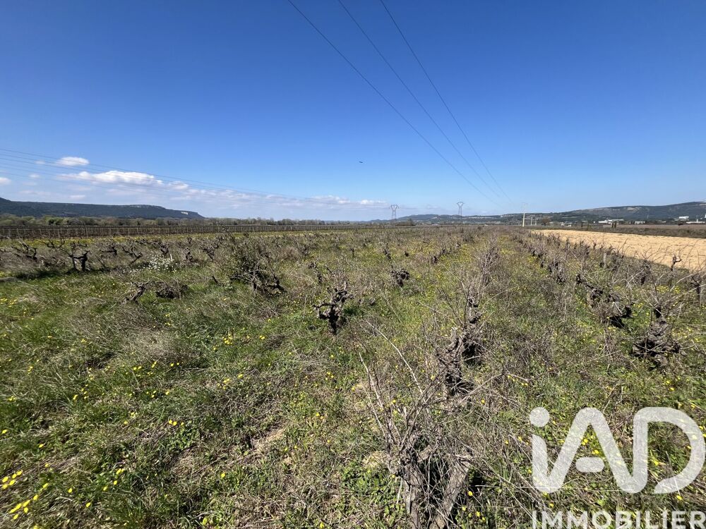 Vente Terrain Vente Terrain agricole 8 225 m&sup2; Codolet