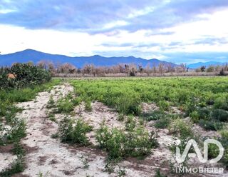 Vente Terrain Vente Terrain 69 131 m&sup2; Elne