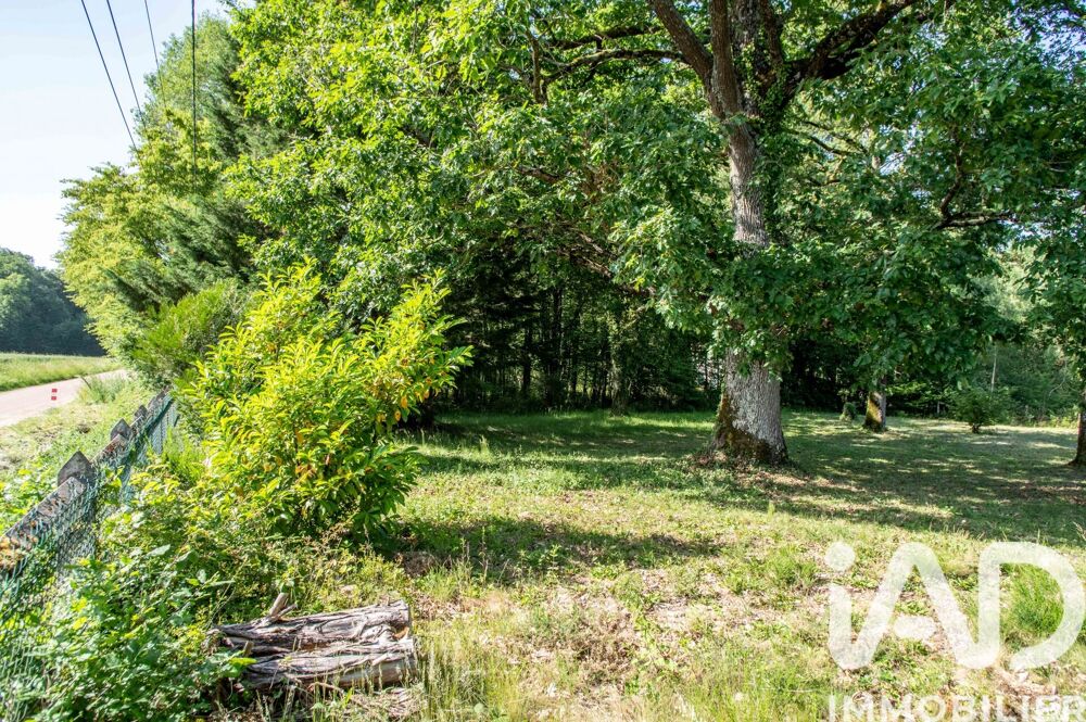 Vente Terrain Vente Terrain à bâtir 2 660 m&sup2; Douchy-montcorbon