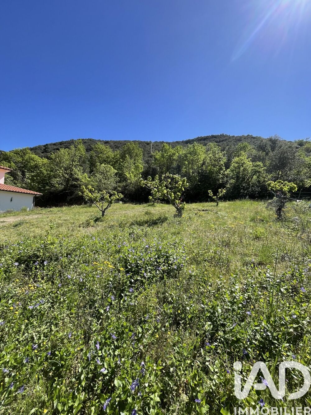 Vente Terrain Vente Terrain 941 m&sup2; Céret
