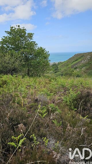 Vente Terrain 4924 m², Digosville