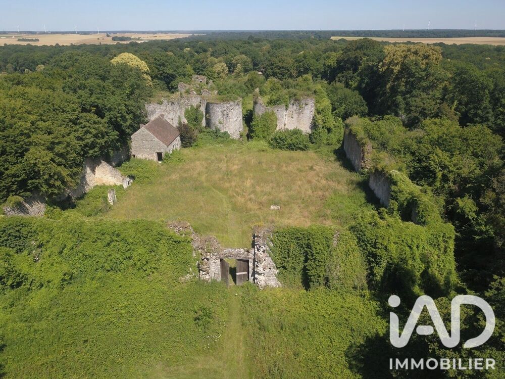 Vente Maison Vente Château 1 pièce Louan villegruis montaiguillon