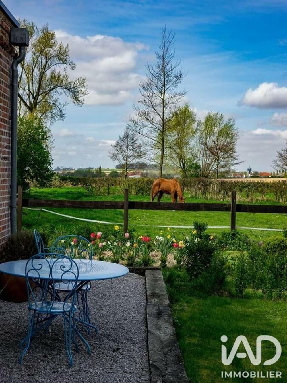à vendre  Maison Cassel (59670)
