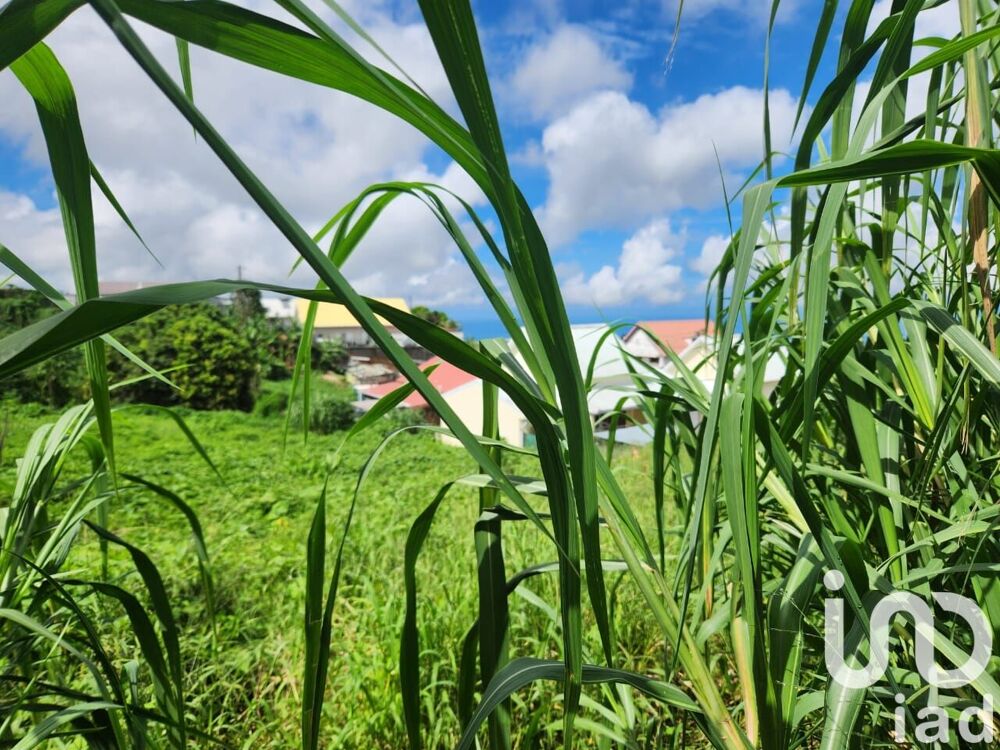 vente Terrain - 1200 m² Le Tampon (97430)