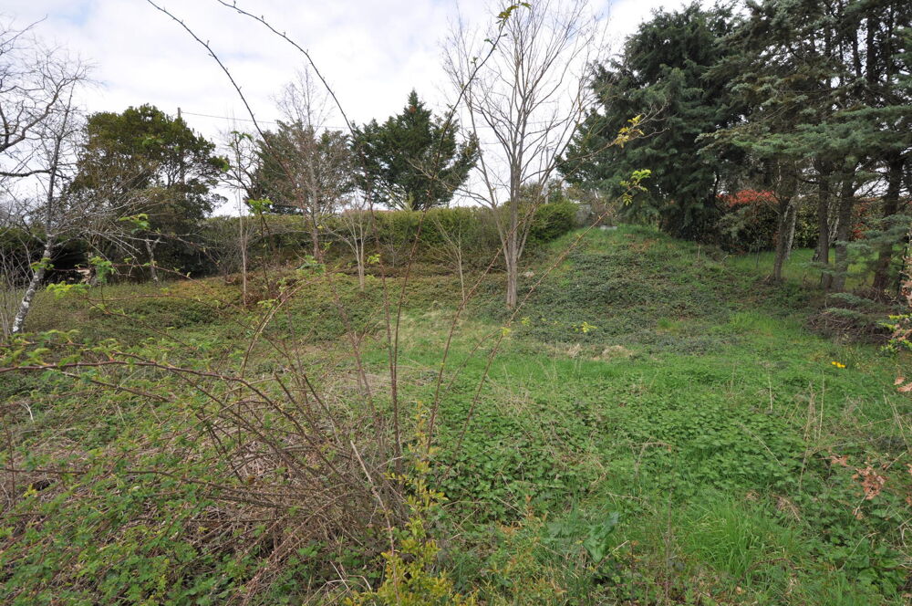 Vente Terrain Terrain Constructible Albi
