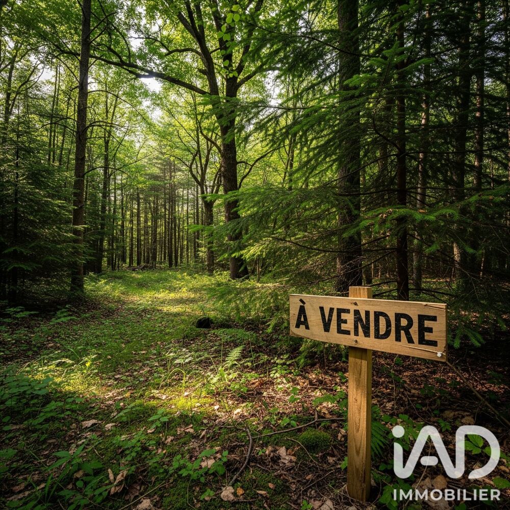 Vente Terrain Vente Terrain 7 159 m&sup2; Arsac
