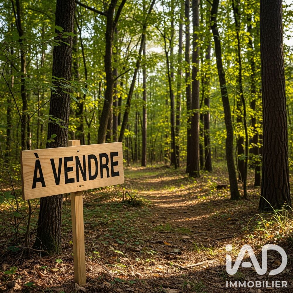 Vente Terrain Vente Terrain 14 306 m&sup2; Arsac